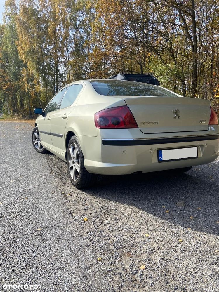 Peugeot 407 2005 photo 3