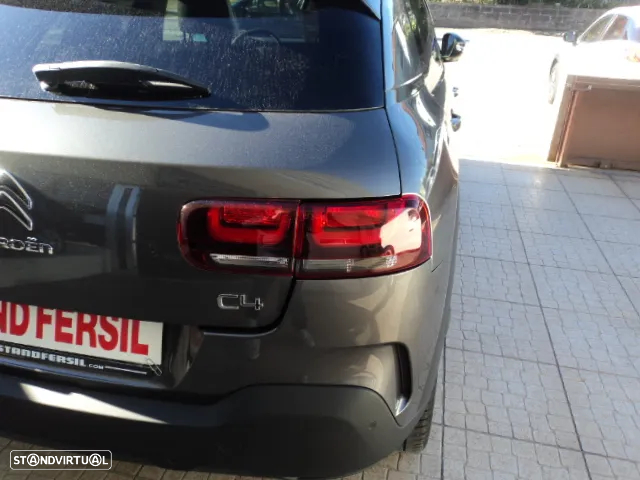 Citroën C4 Cactus 1.5 BlueHDi Shine - 19