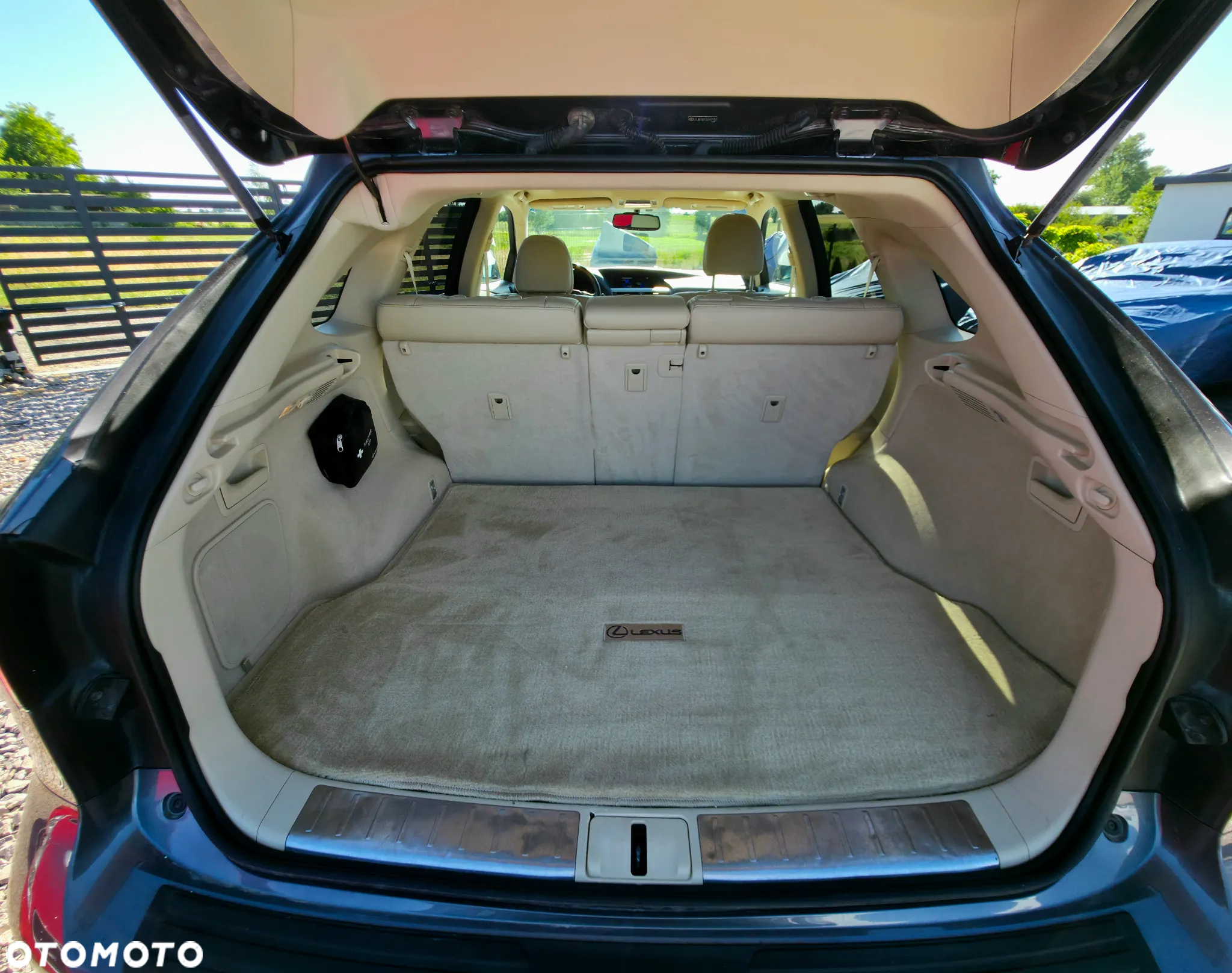Lexus RX 450h Elegance - 18