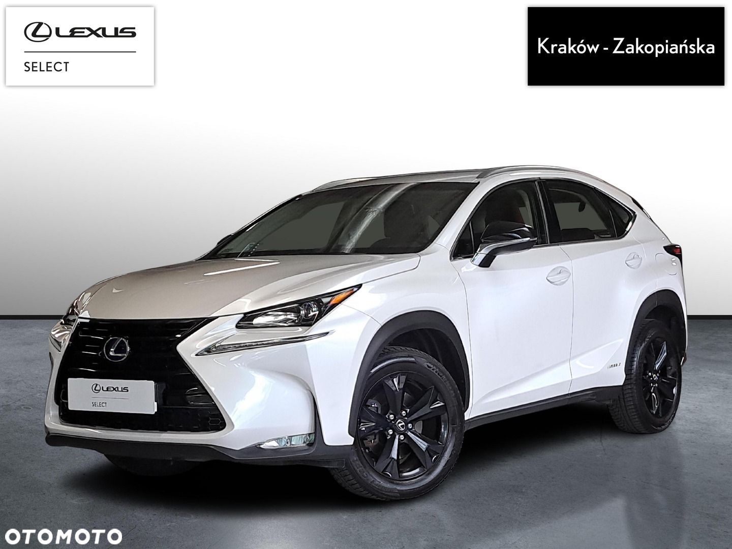 Lexus NX - 1