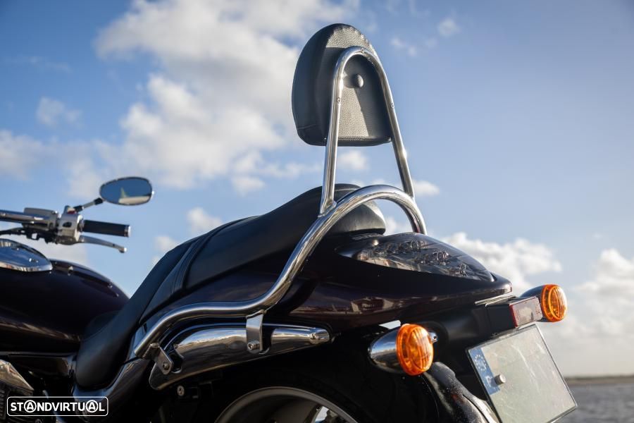 Suzuki Intruder - 12