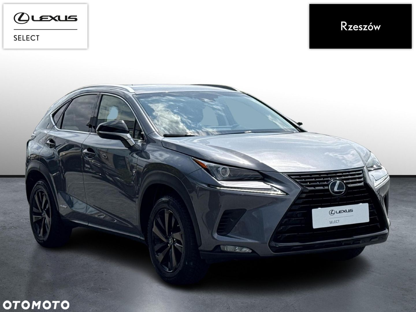 Lexus NX - 7