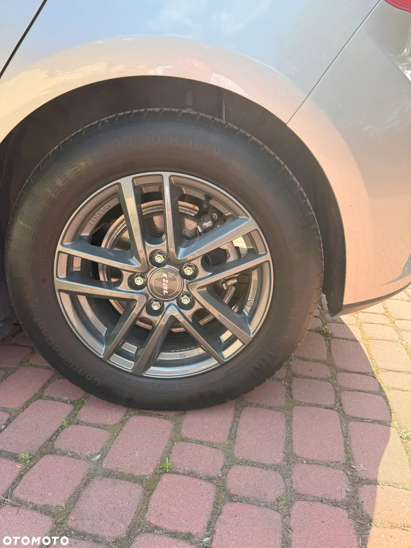 Ford Focus 1.5 EcoBlue Trend - 2