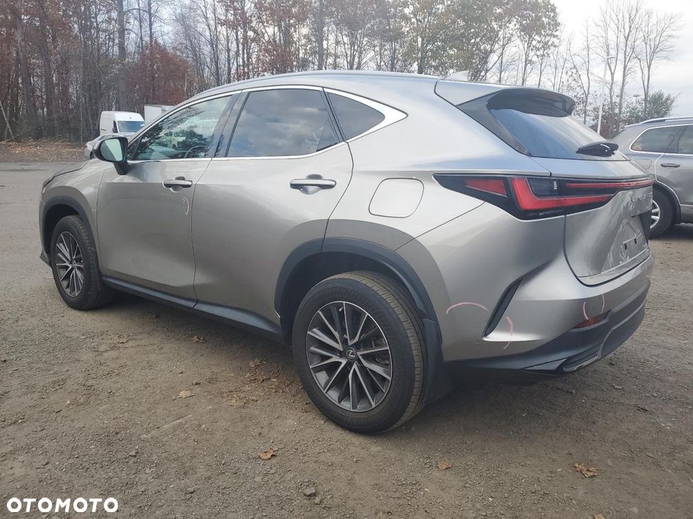 Lexus NX 300 AWD Luxury Line - 3