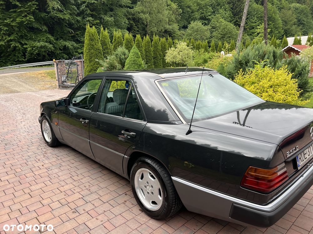 Mercedes-Benz W124 (1984-1993) - 10