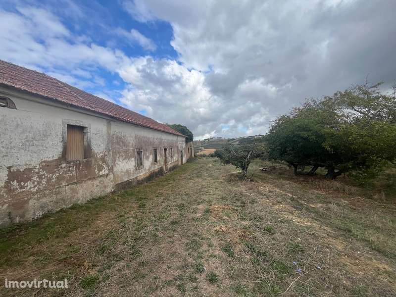Quintinha com Moradia e Pomar em Carvalhal, Bombarral - Grande imagem: 3/25