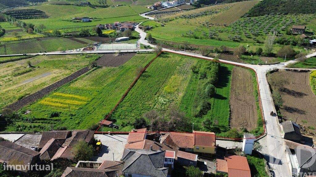 Terreno em Veiga de Lila de 8990,00 m2 - Grande imagem: 3/14