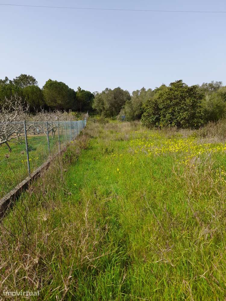 Terreno na Azóia com 5.600 m2 - Grande imagem: 5/8