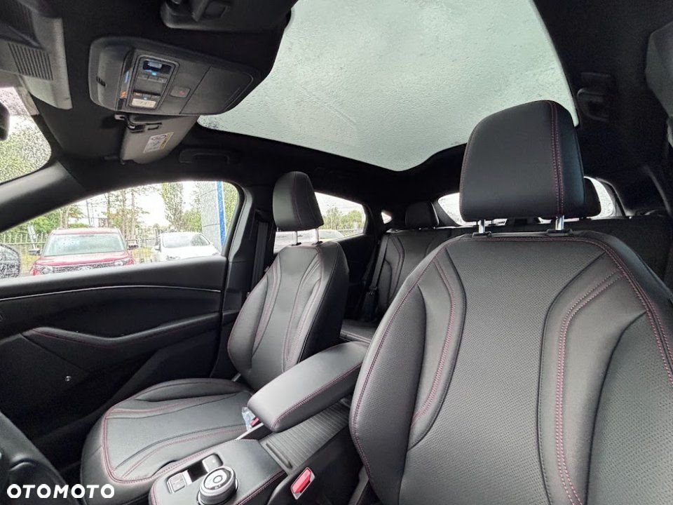 Ford Mustang Mach-E - 9