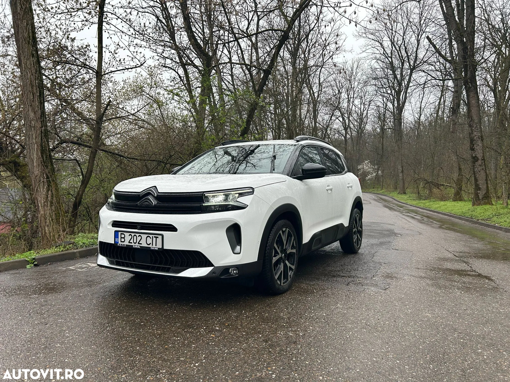 Citroën C5 Aircross 1.5 BlueHDi S&S EAT8 Shine - 7