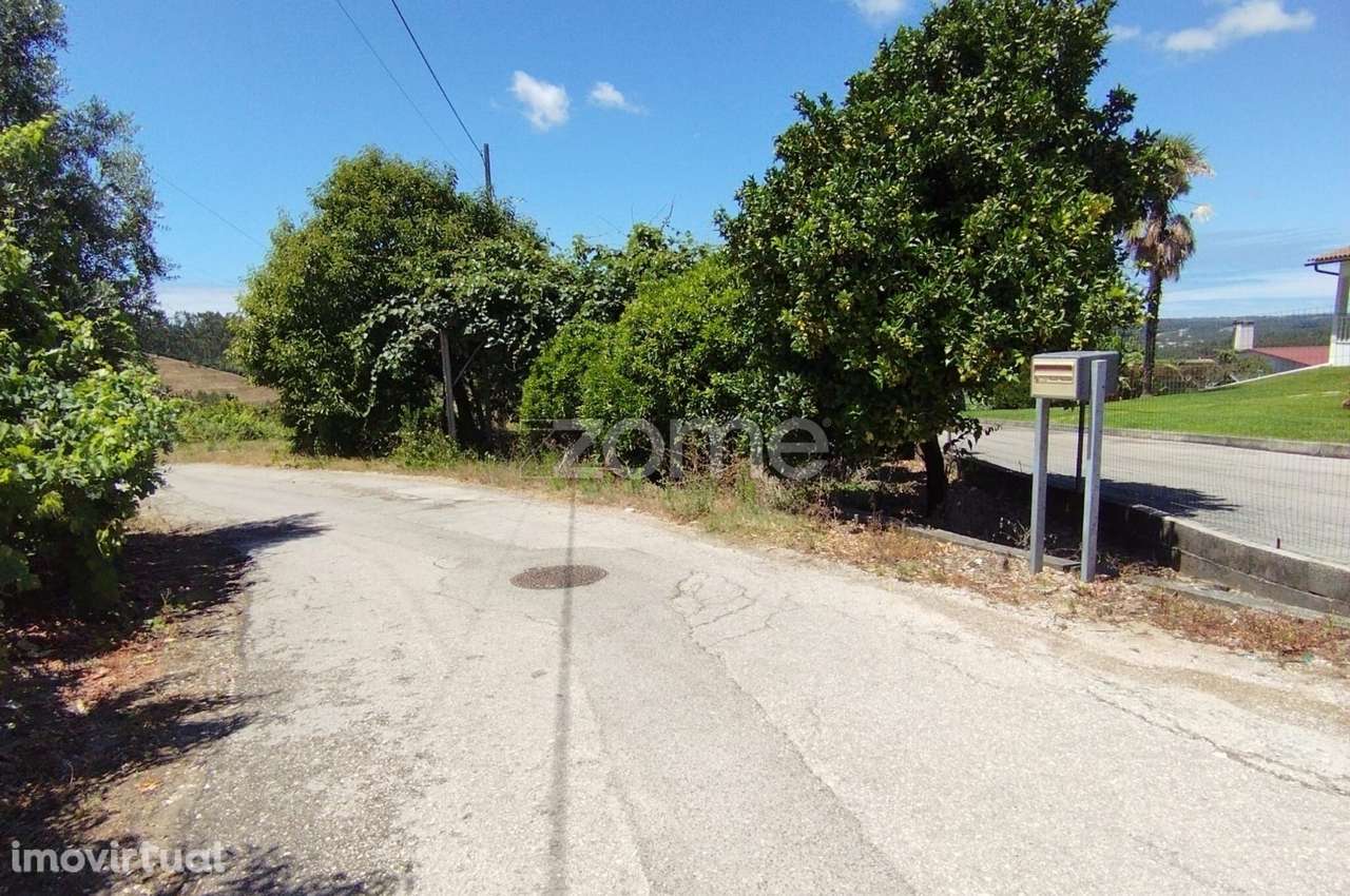 Terreno Almagreira - Grande imagem: 4/20