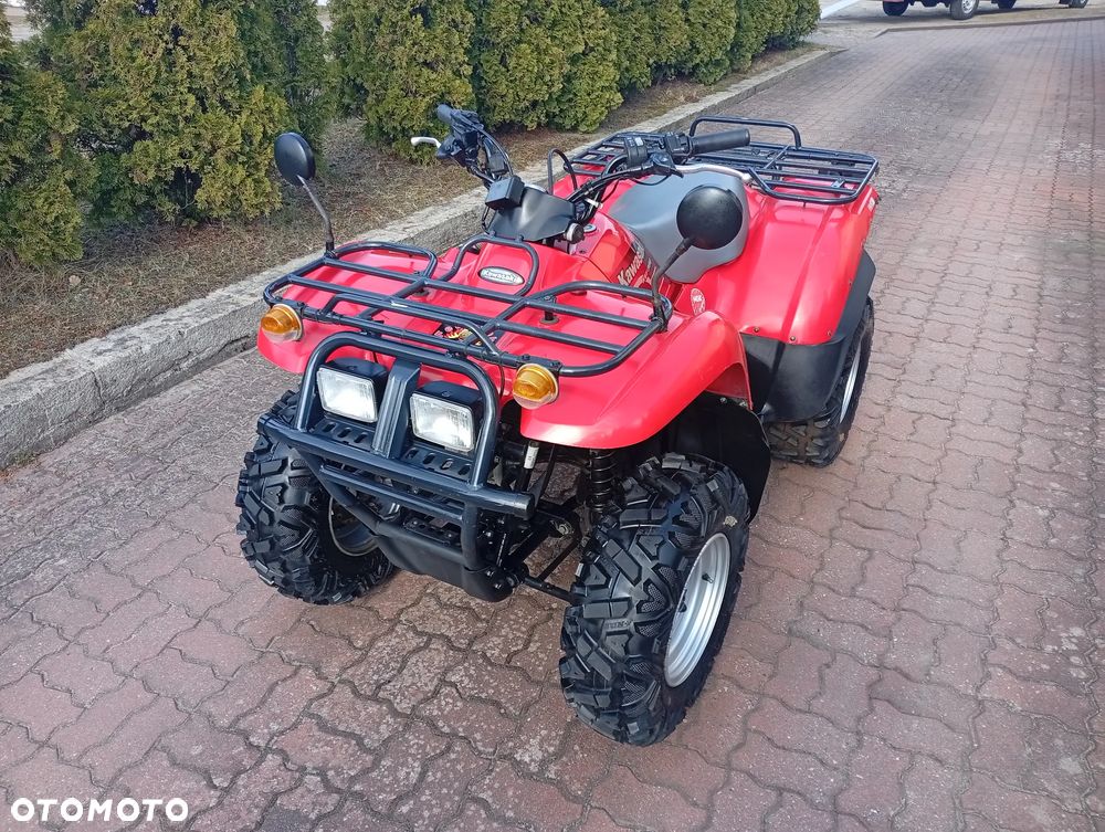 Kawasaki Brute Force - 20