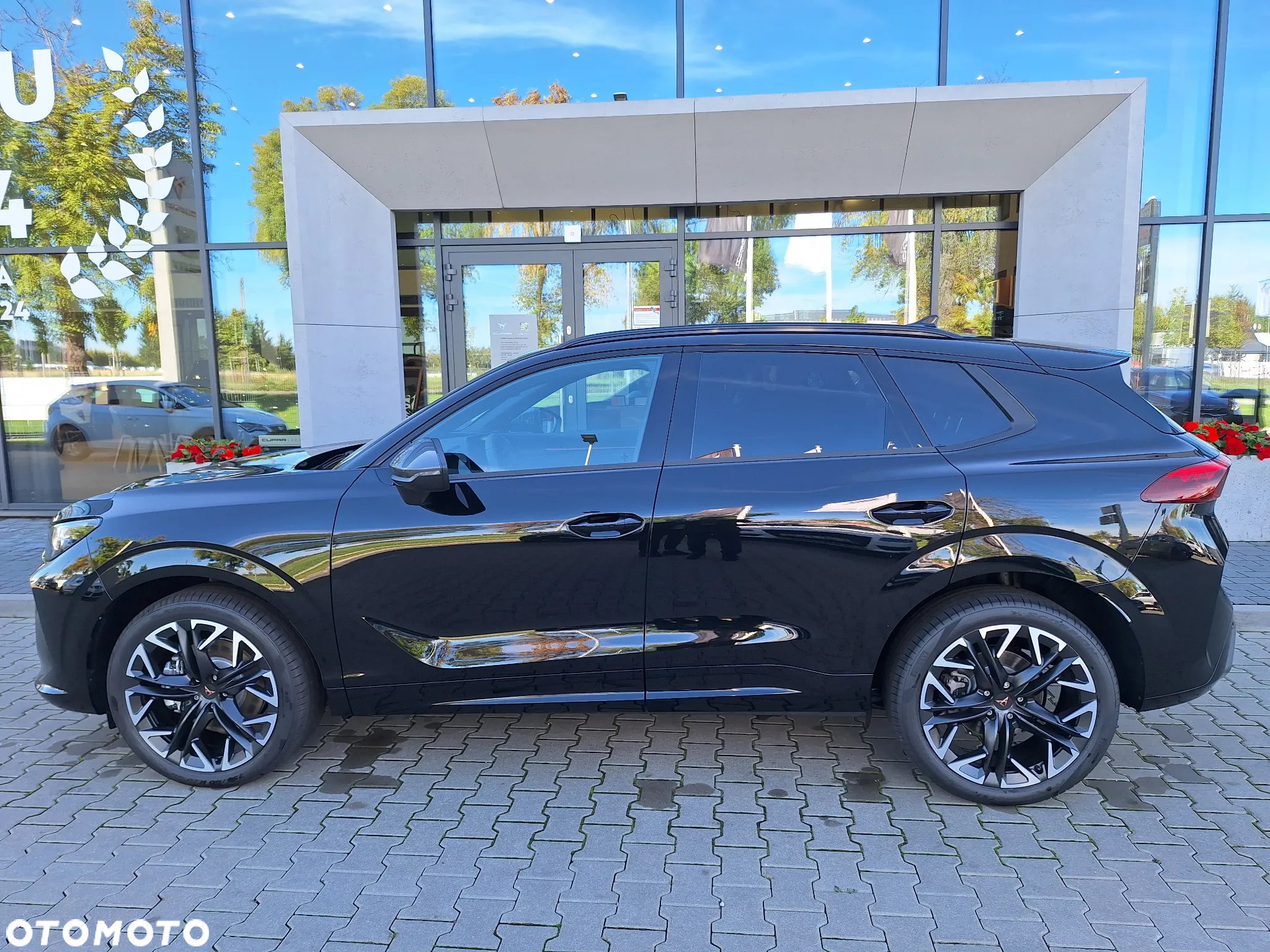 Cupra Terramar 2.0 TSI 4Drive Advantage Edition DSG - 5