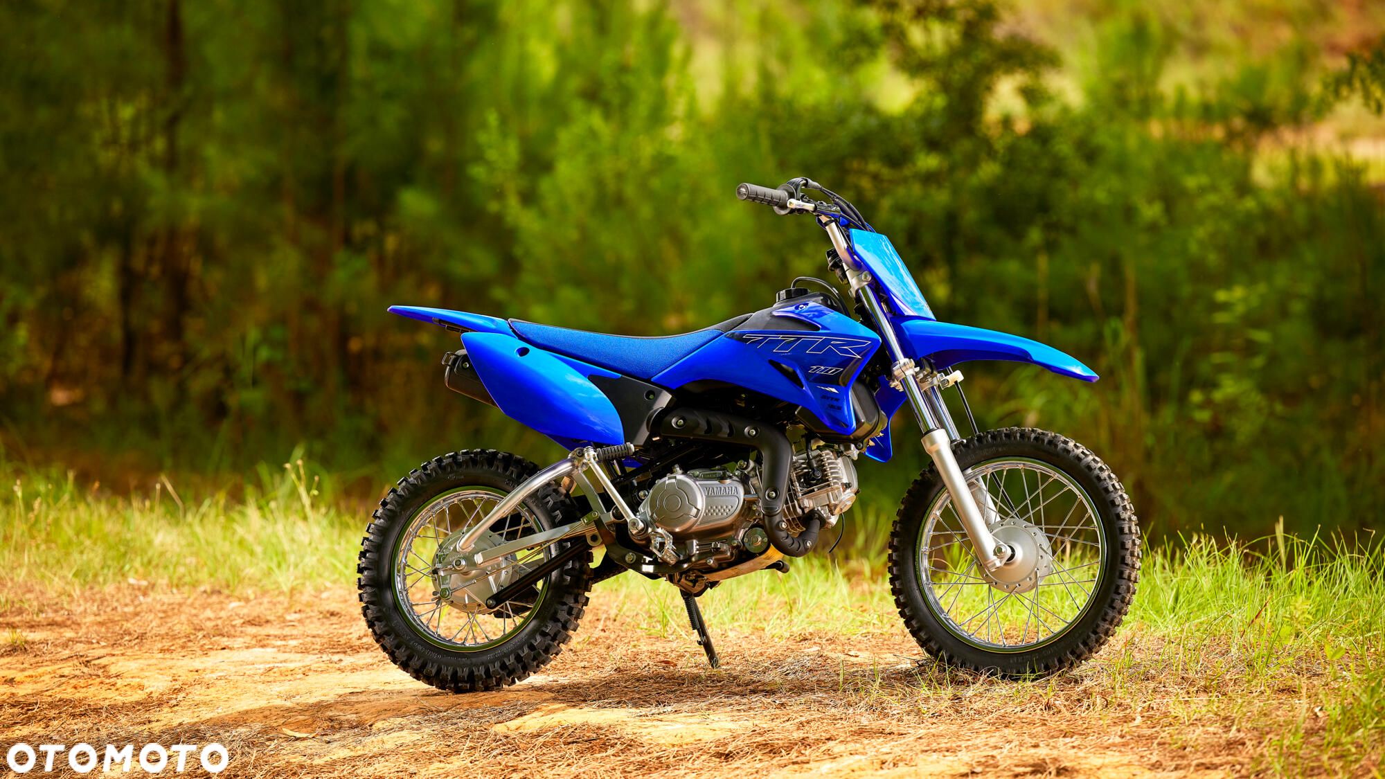 Yamaha TTR - 1