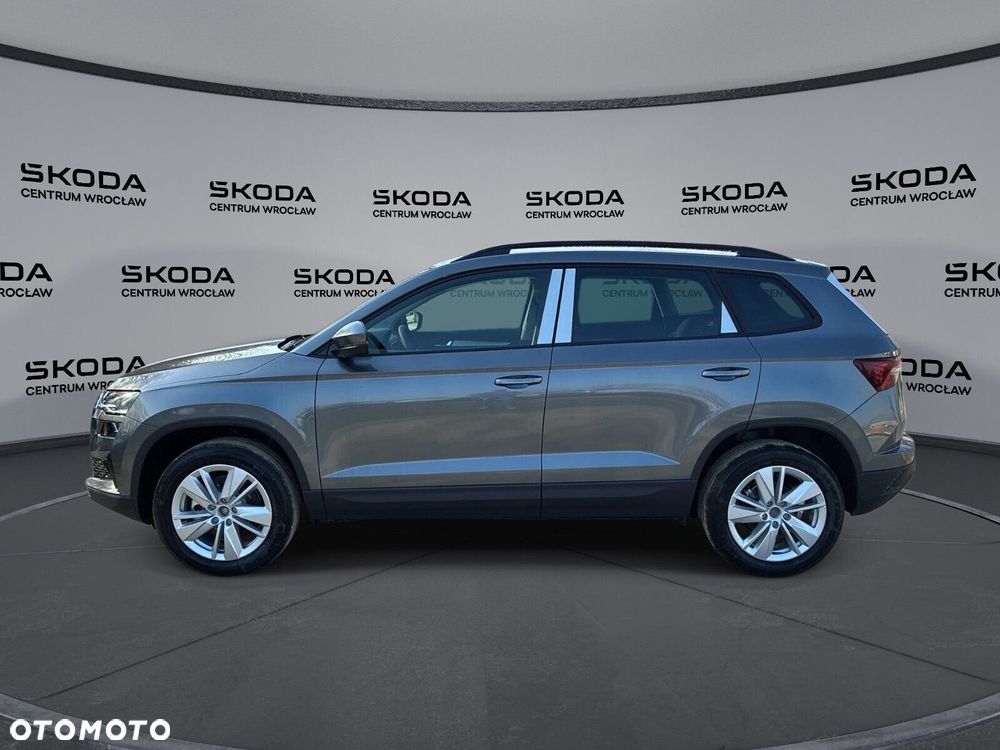 Skoda Karoq - 11