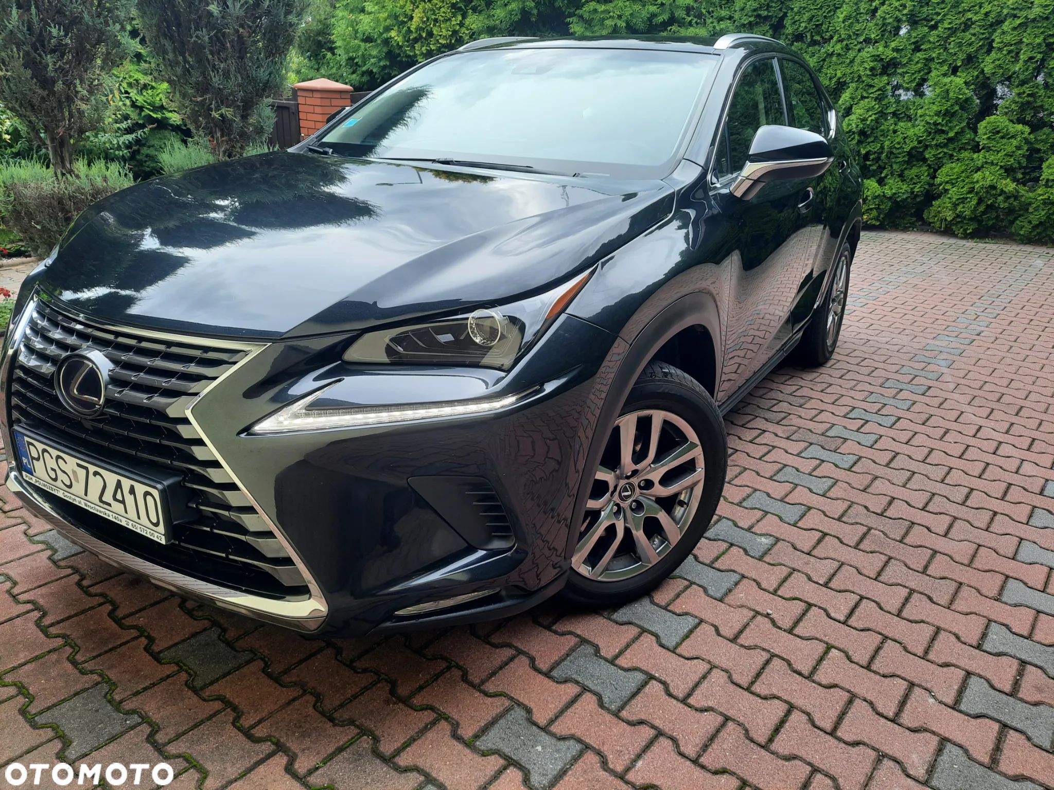 Lexus NX - 1