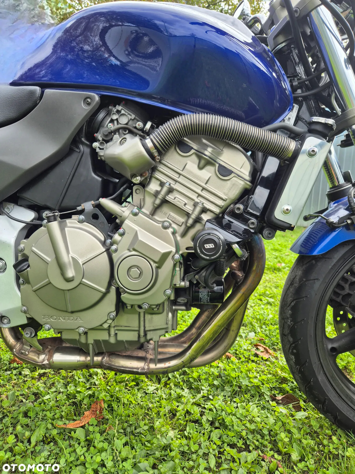 Honda Hornet - 8