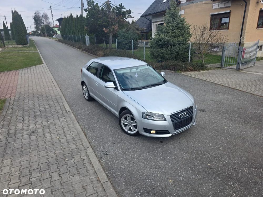 Audi A3 3-drzwiowe 1.6 Ambition - 13