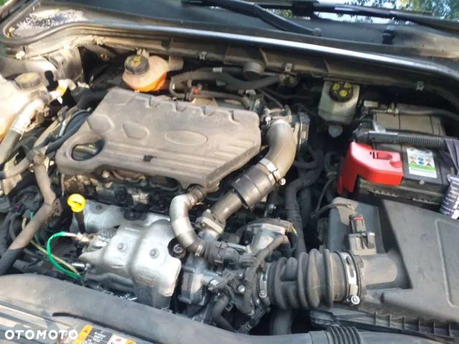 Ford Focus 1.5 EcoBlue SCR Trend - 5
