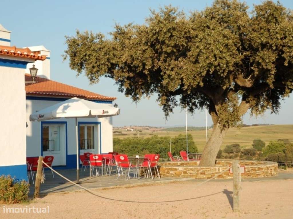 Herdade para Venda em Évora - Grande imagem: 3/13