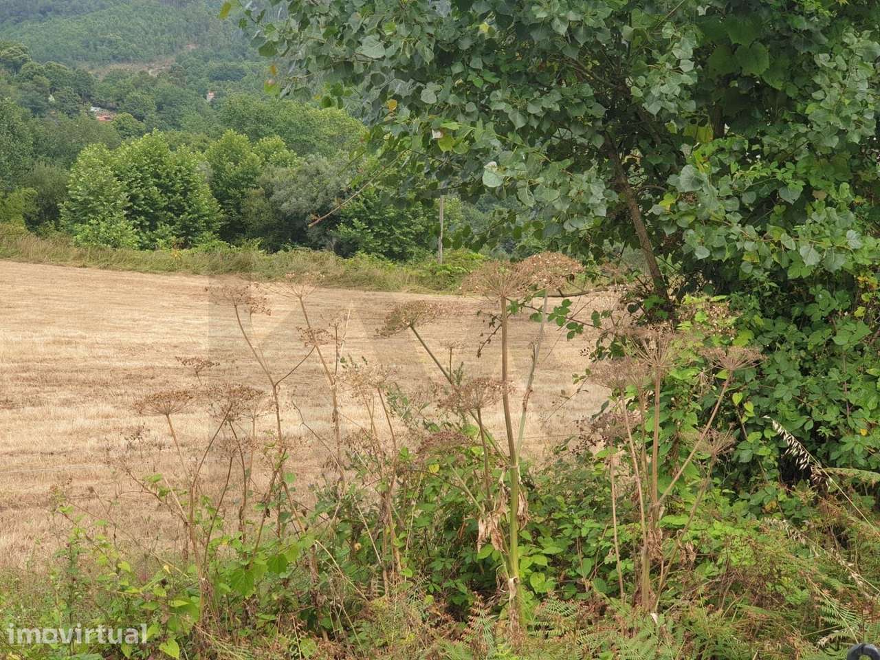 Terreno Rústico  com 22.438m2, em Mosteiro, Vieira do Minho – Potencia - Grande imagem: 3/19