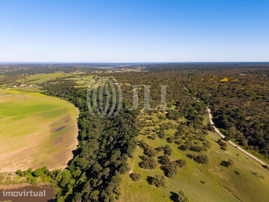 Propriedade com três prédios, Alcácer do Sal, Vale do Guizo - Grande imagem: 2/5