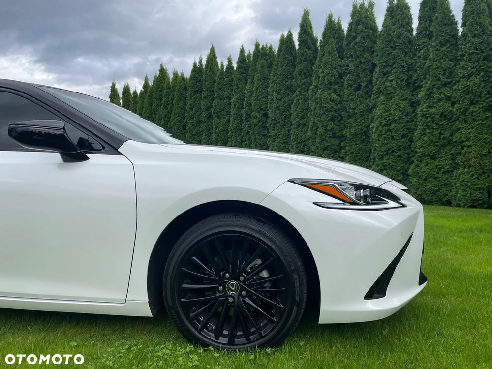 Lexus ES 300h Business Edition + - 4