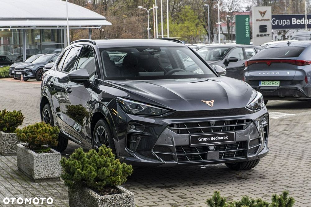 Cupra Terramar - 6