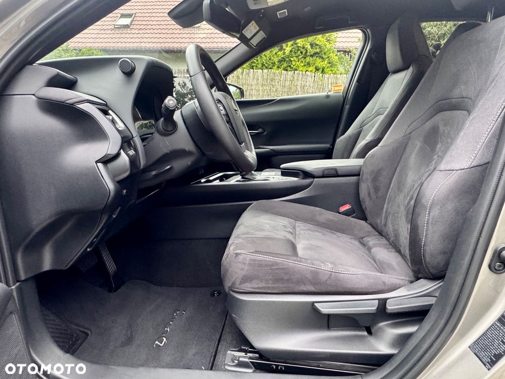 Lexus UX 250h F Sport 2WD - 17
