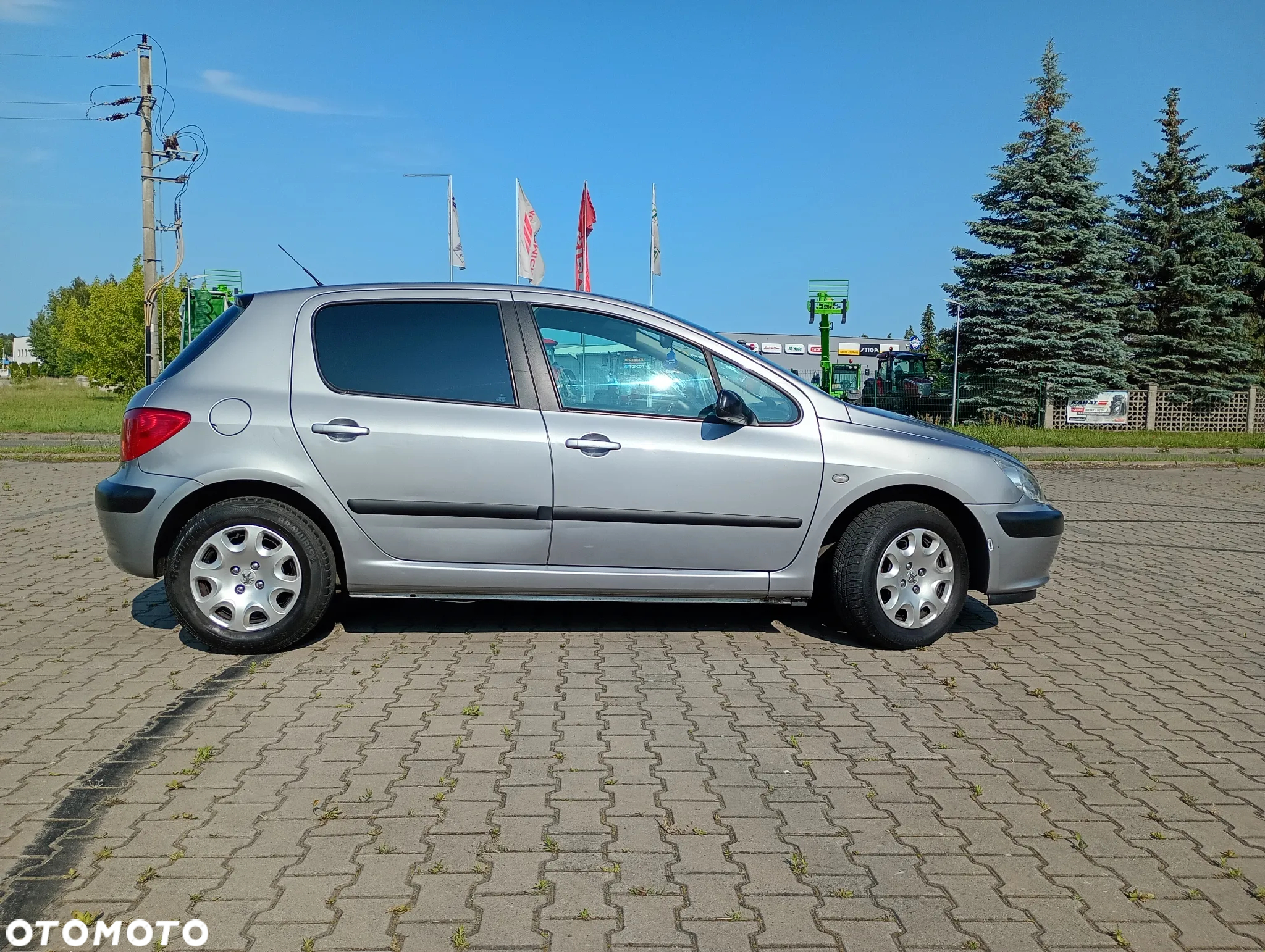 Peugeot 307 1.6 Premium - 10
