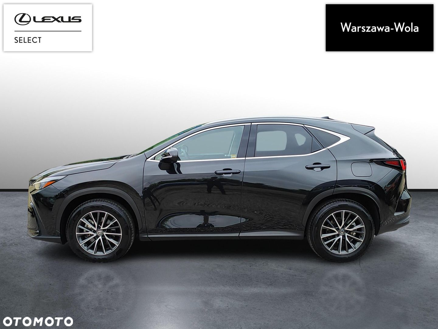 Lexus NX - 6