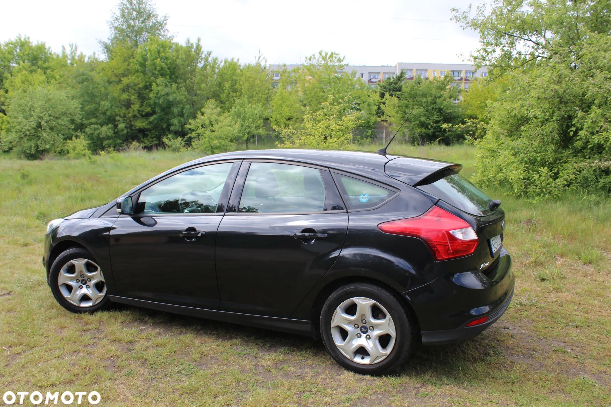 Ford Focus - 1
