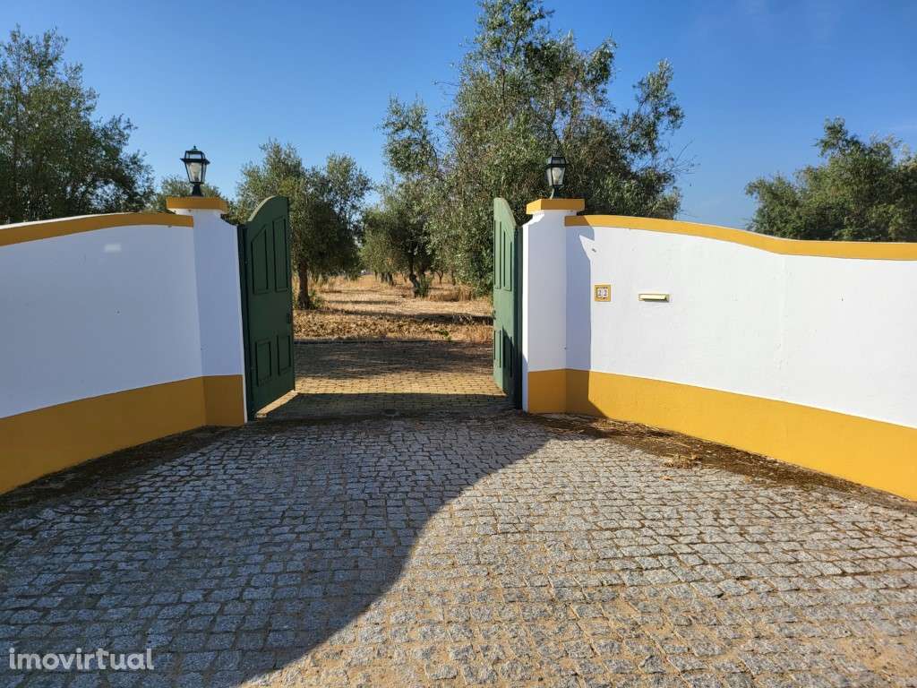 Quinta T2, com 11.000 m2, perto de Avis - Grande imagem: 2/43