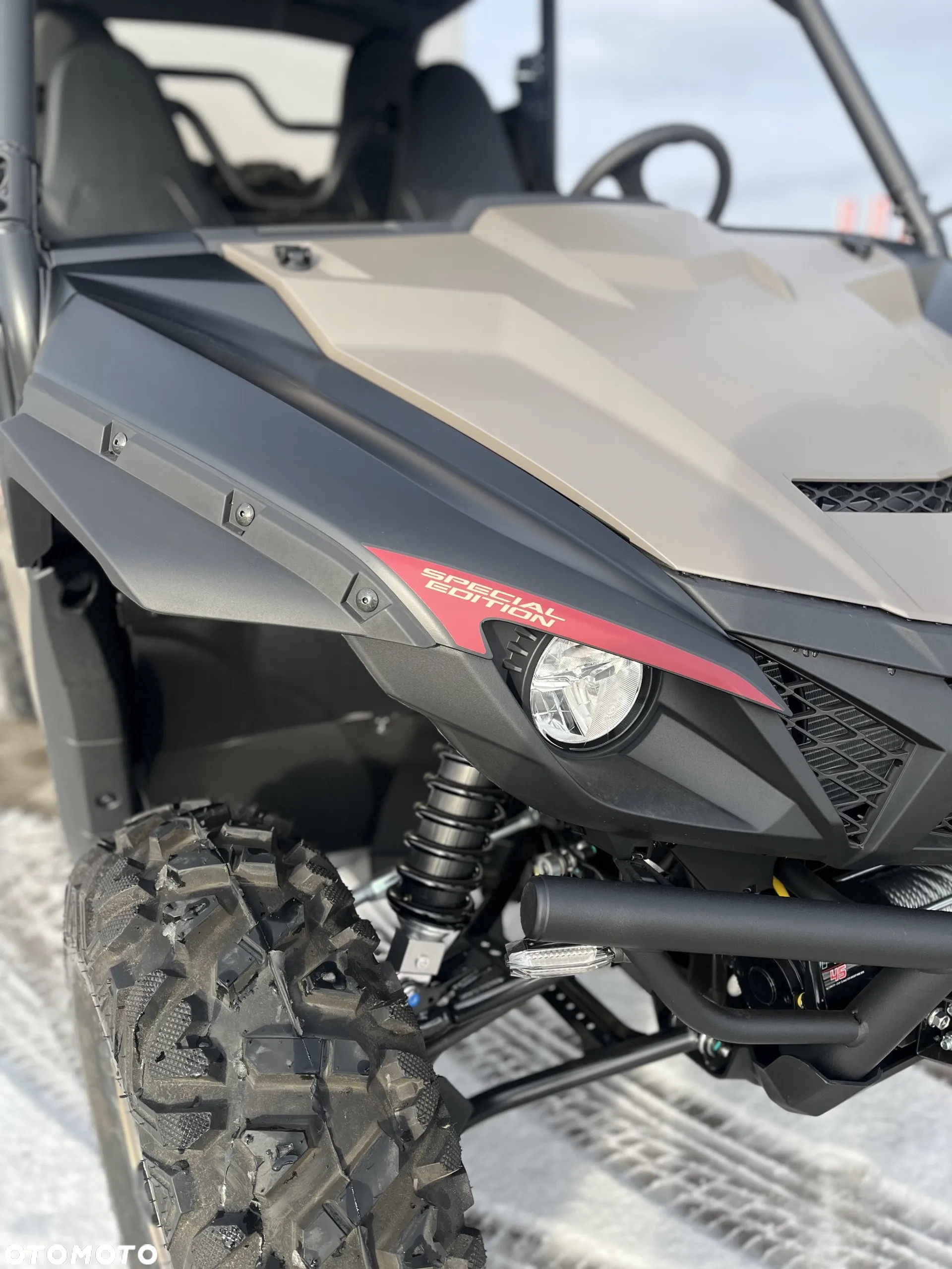 Yamaha Wolverine - 21