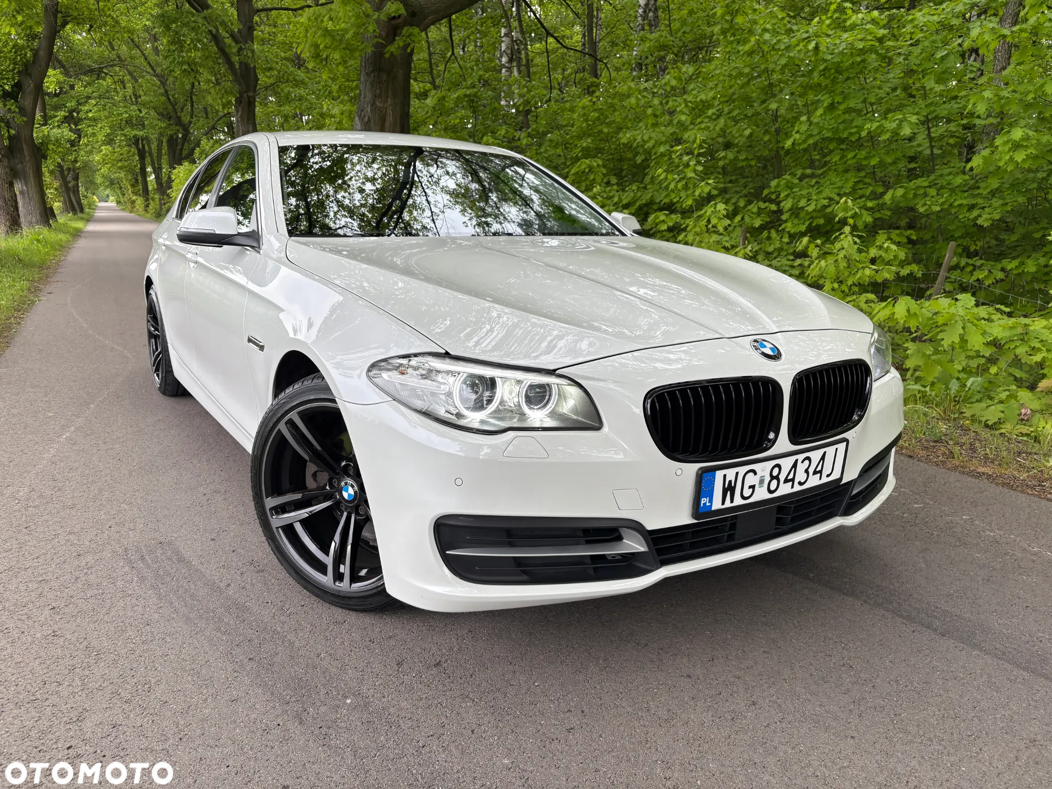 BMW Seria 5 520d - 38