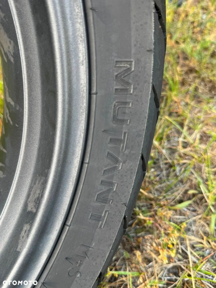 Triumph Tiger - 12