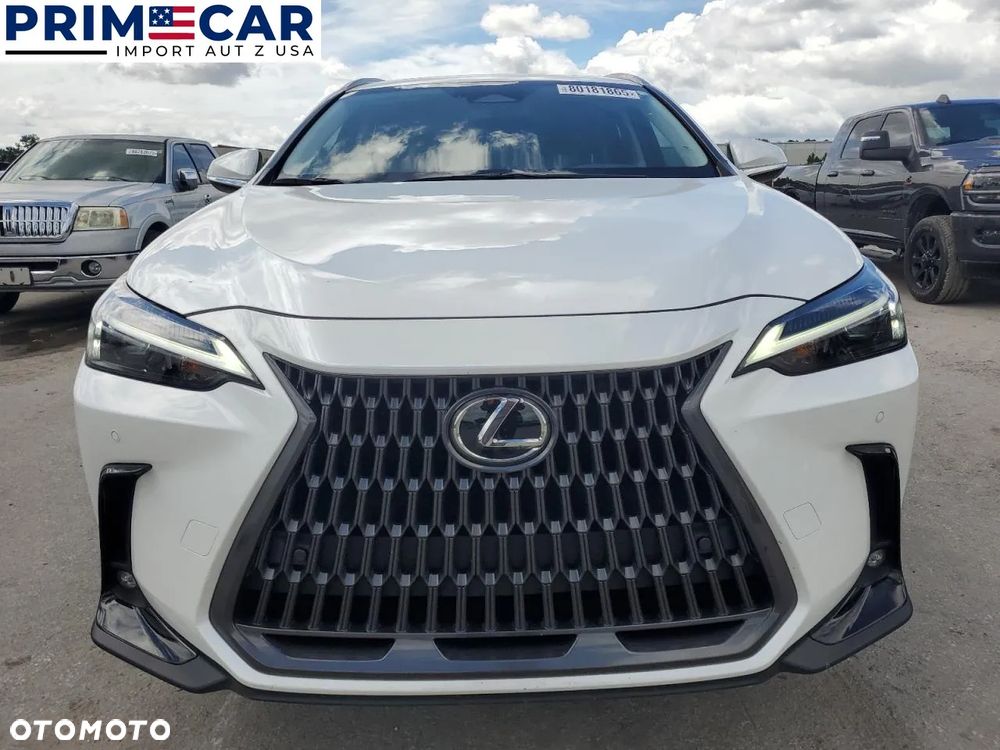 Lexus NX - 6