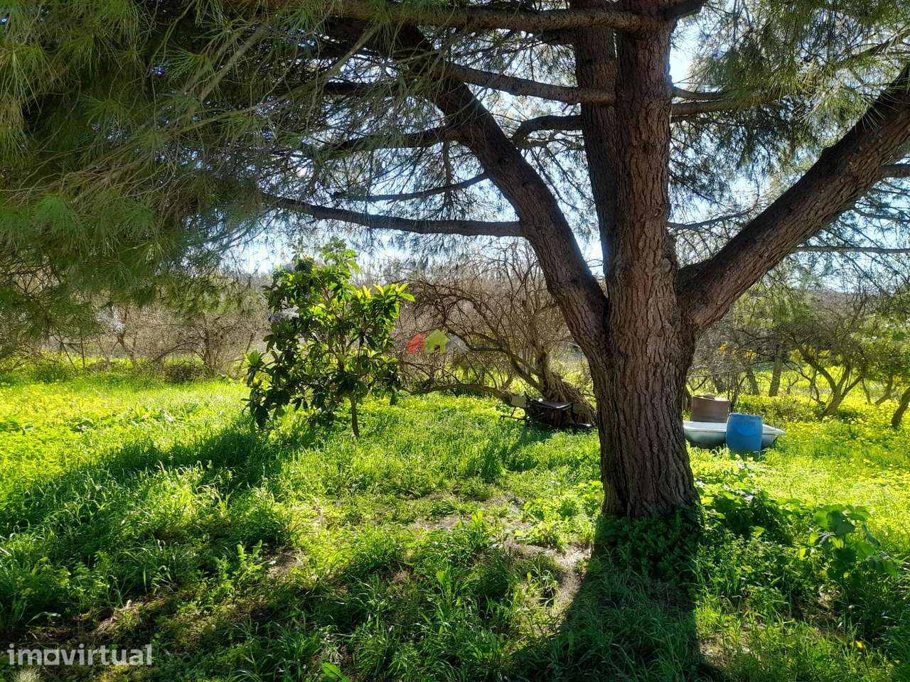 Terreno à Venda em Pedrogão - Oportunidade Única! - Grande imagem: 4/11
