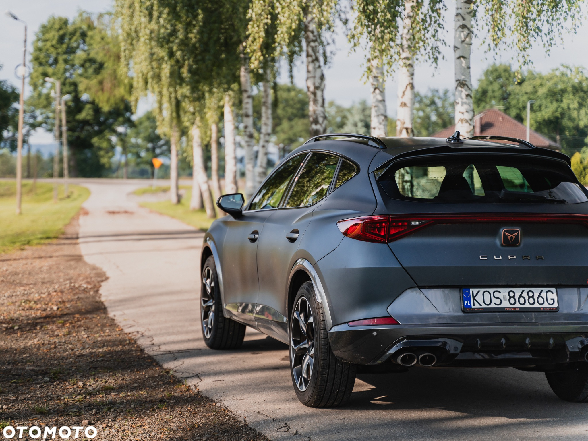 Cupra Formentor VZ 2.0 TSI 4Drive DSG - 3