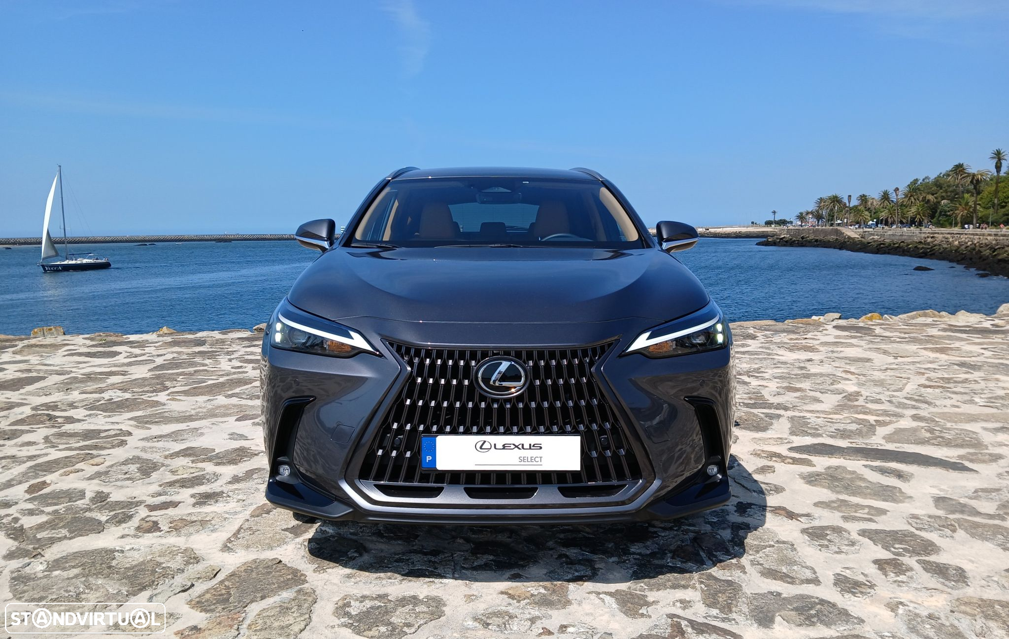 Lexus NX 450h+ - 6