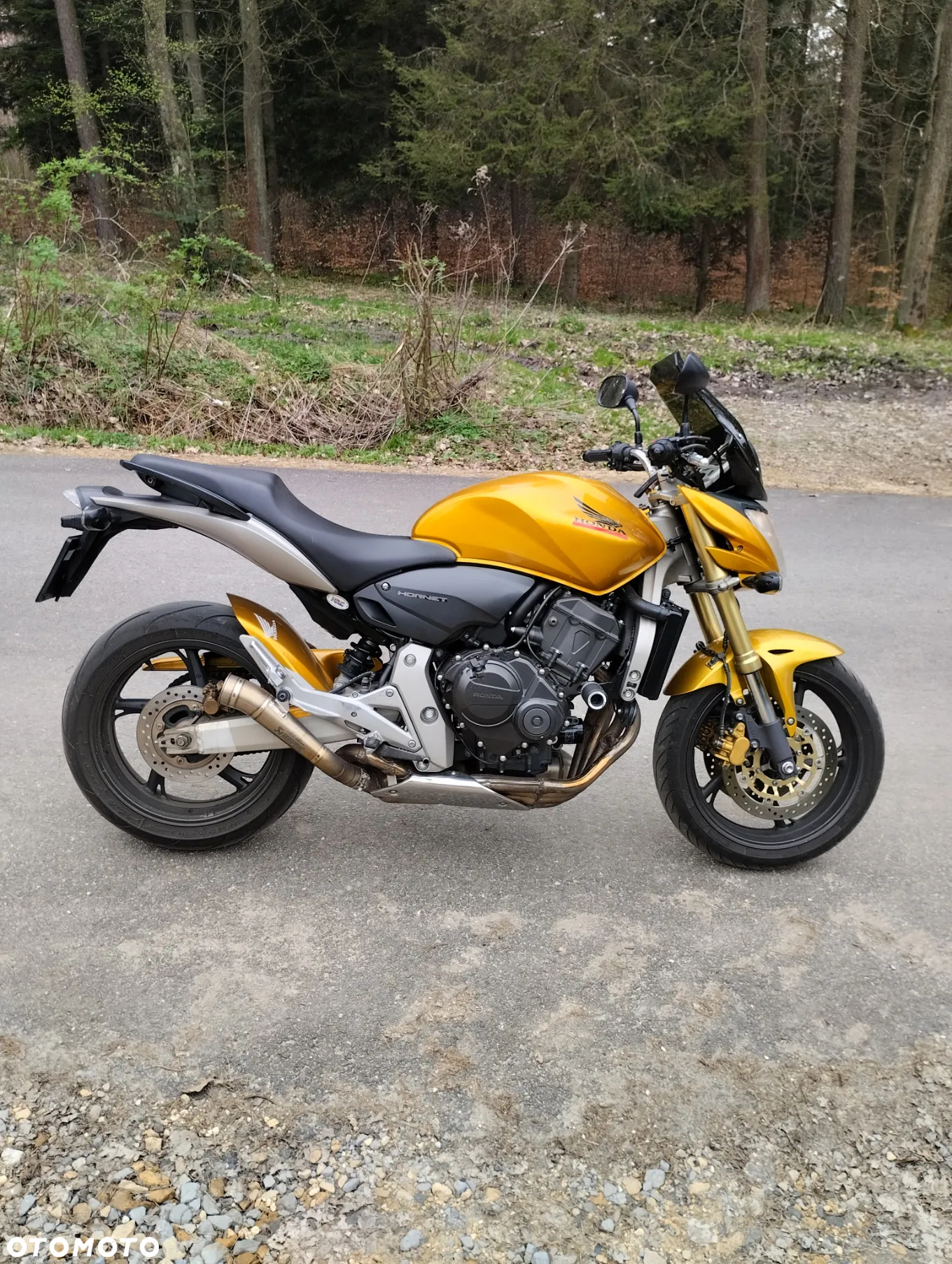 Honda Hornet - 4