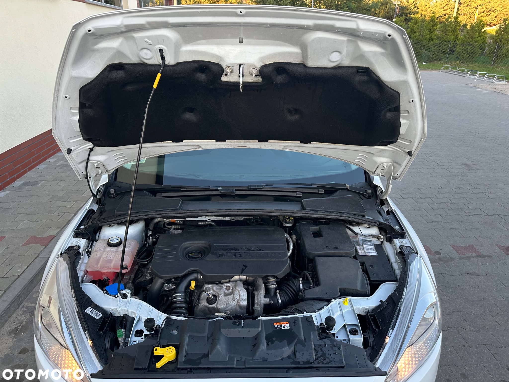 Ford Focus 1.5 TDCi Trend Sport - 22