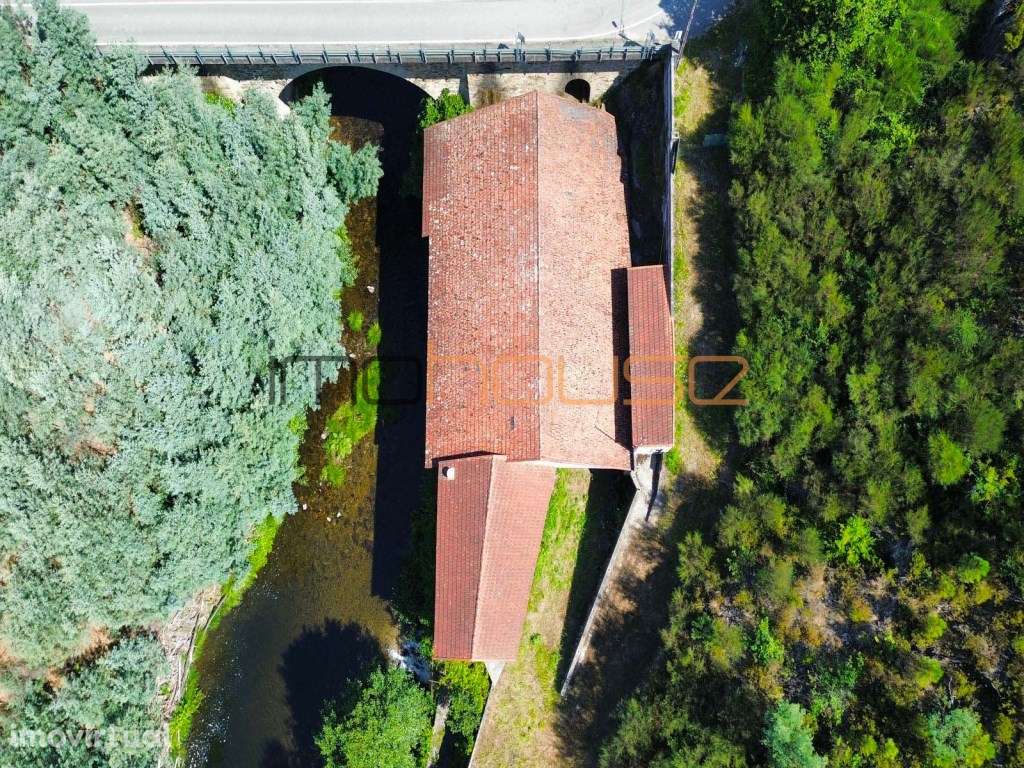 Antiga serração - Frente de Rio - Grande imagem: 5/46