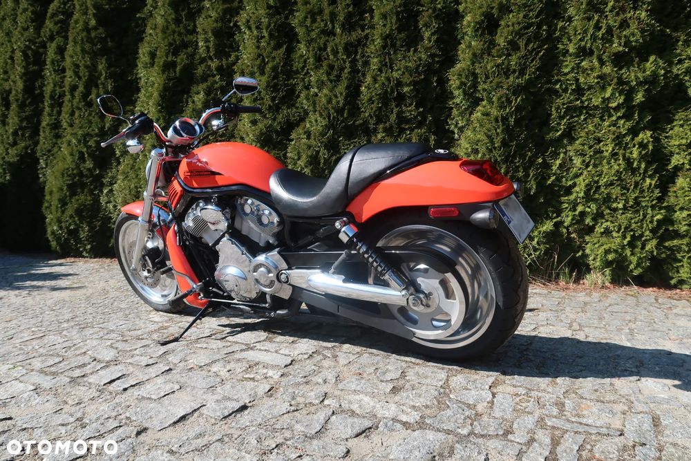 Harley-Davidson V-Rod Night Rod - 13