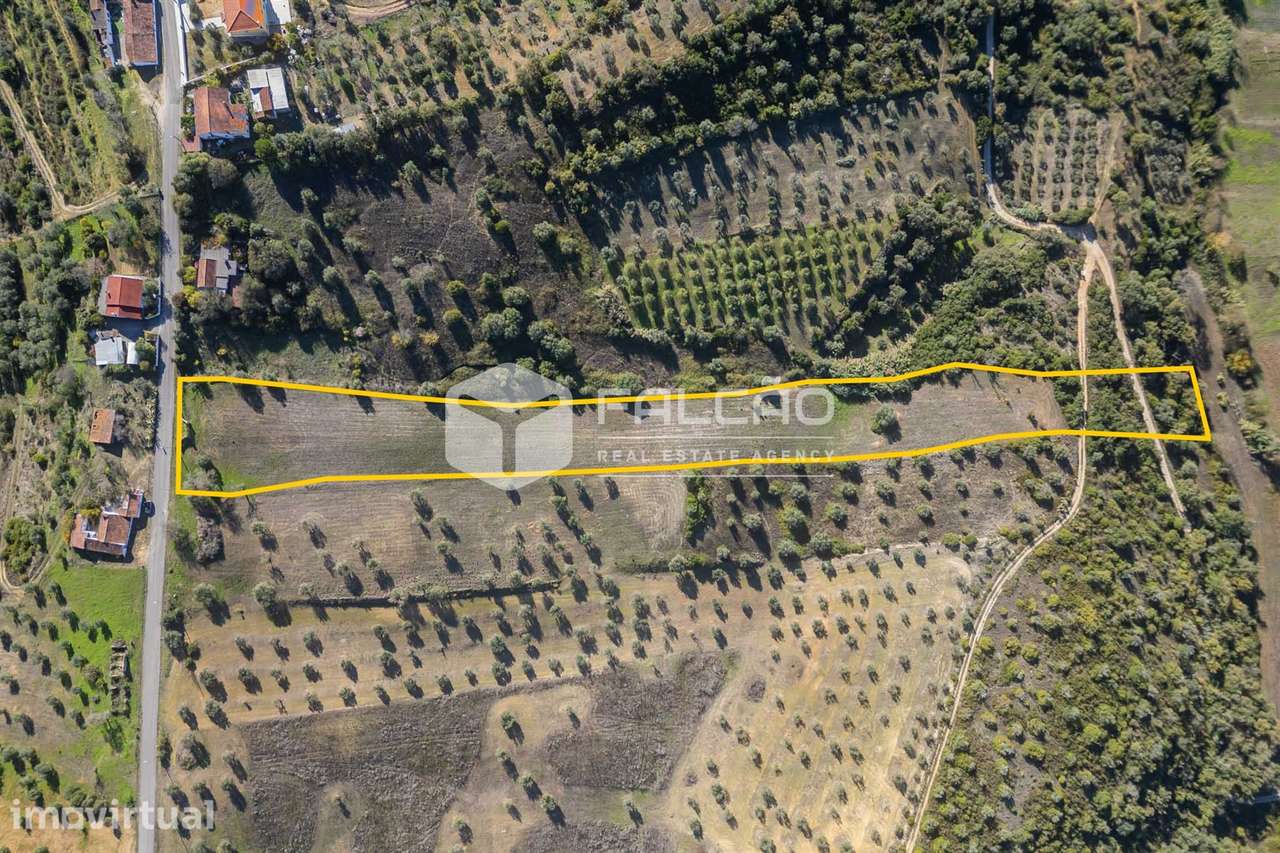 Terreno Para Construção  Venda em Moçarria,Santarém - Grande imagem: 3/34