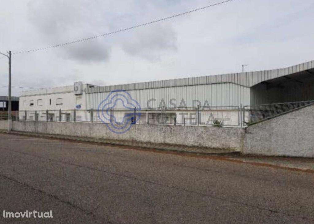 Armazém em Salvaterra de Magos - Muge - Grande imagem: 2/25