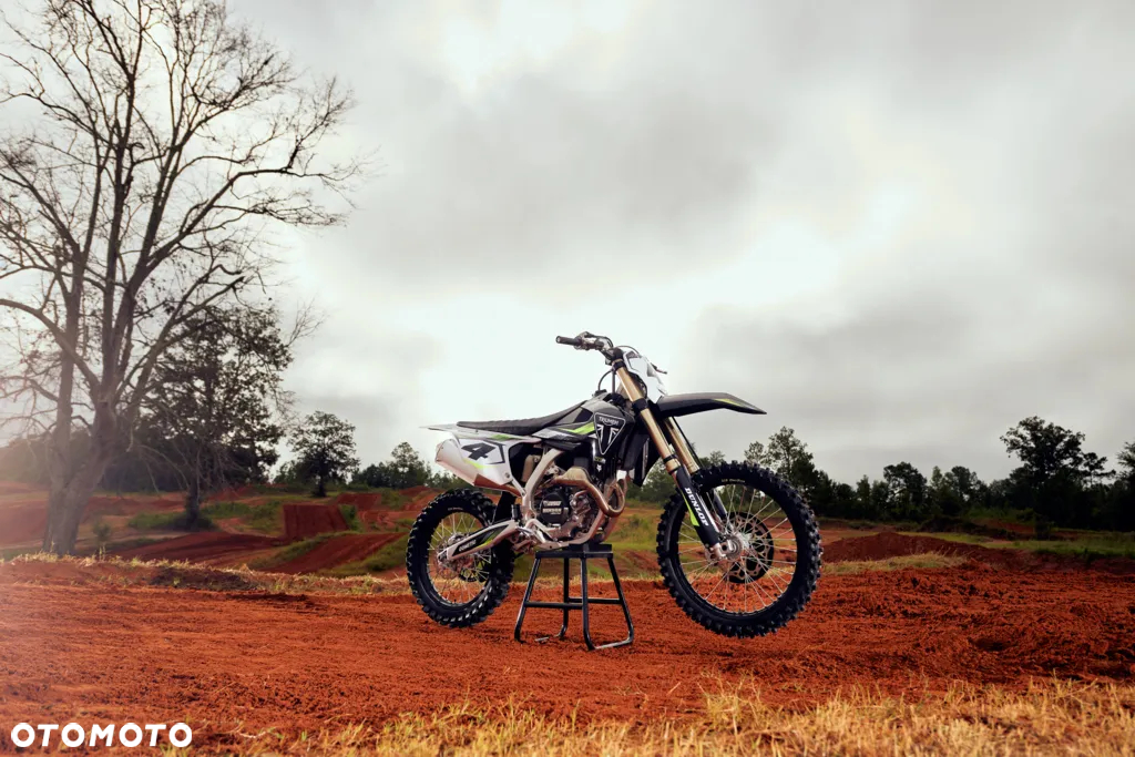 Triumph Inny - 29