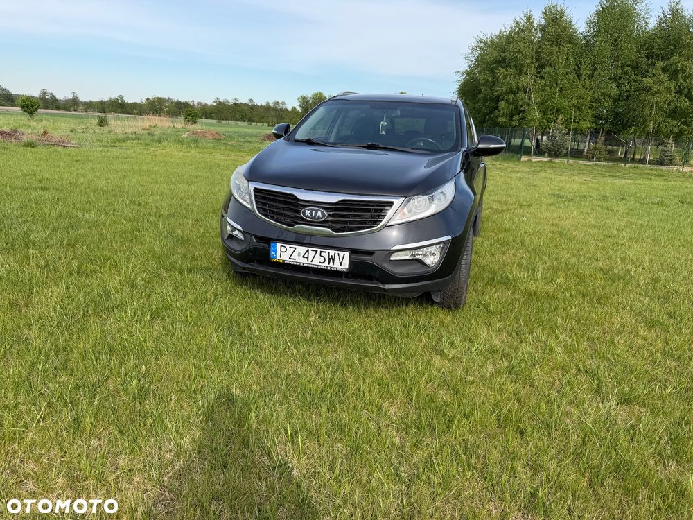 Kia Sportage - 1