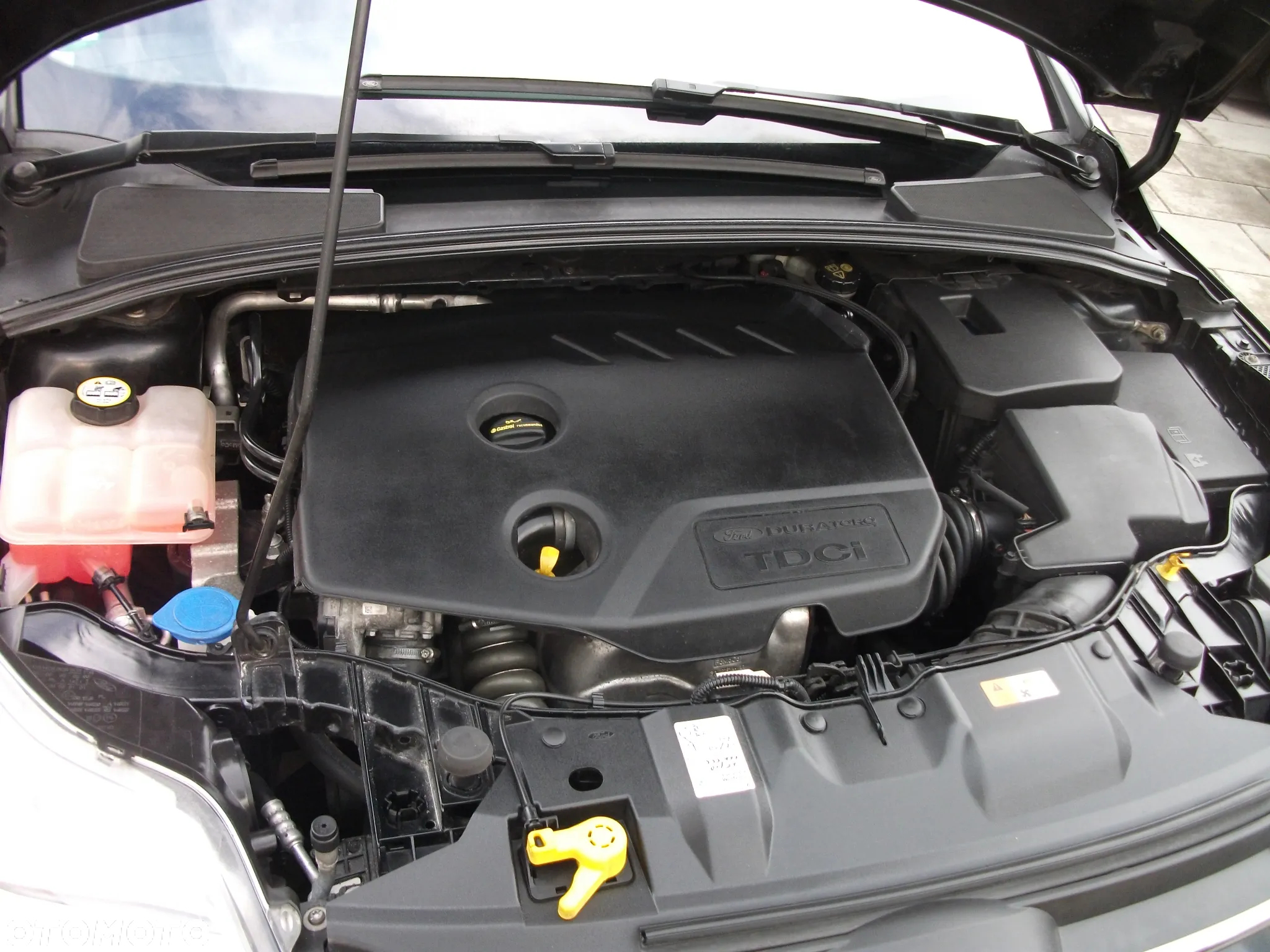 Ford Focus 1.6 TDCi Edition - 15