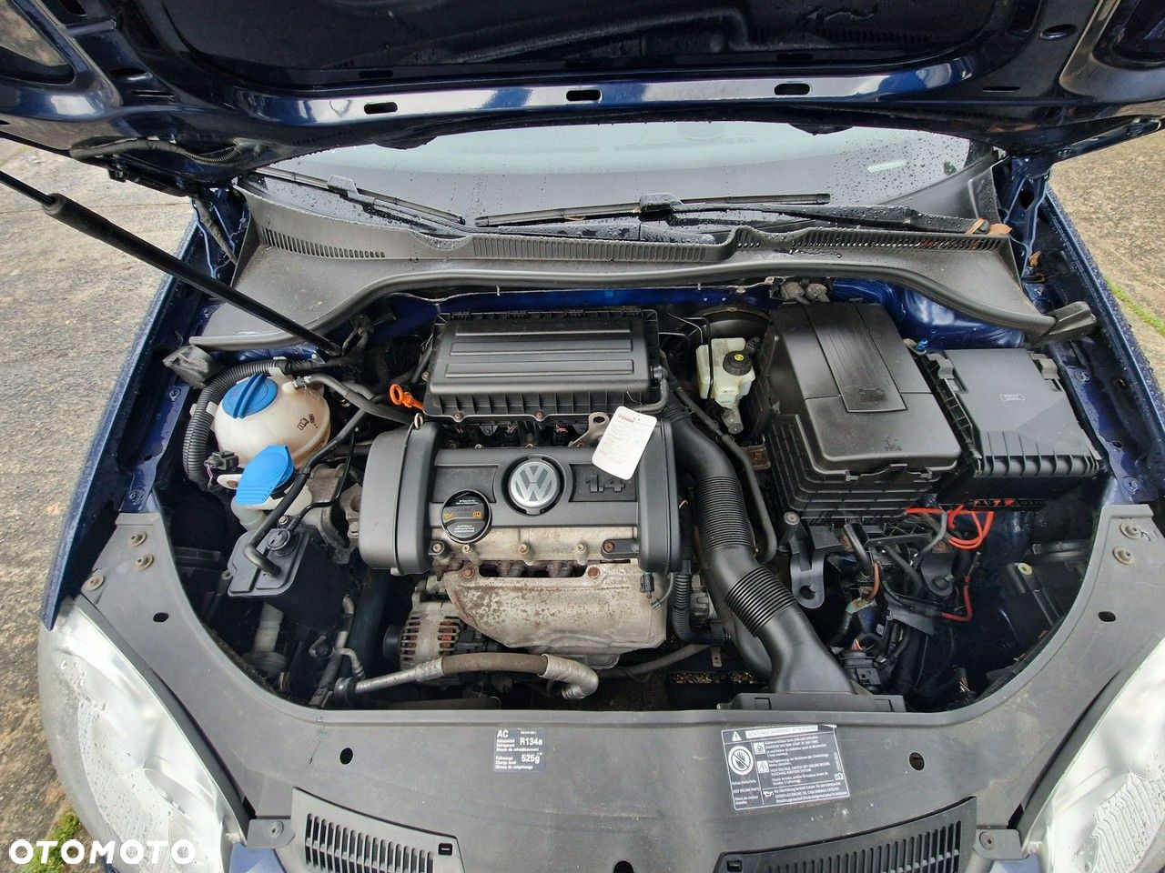 Volkswagen Golf - 29